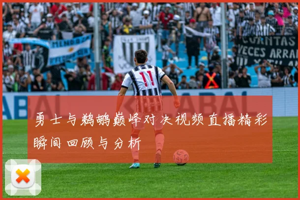 勇士与鹈鹕巅峰对决视频直播精彩瞬间回顾与分析
