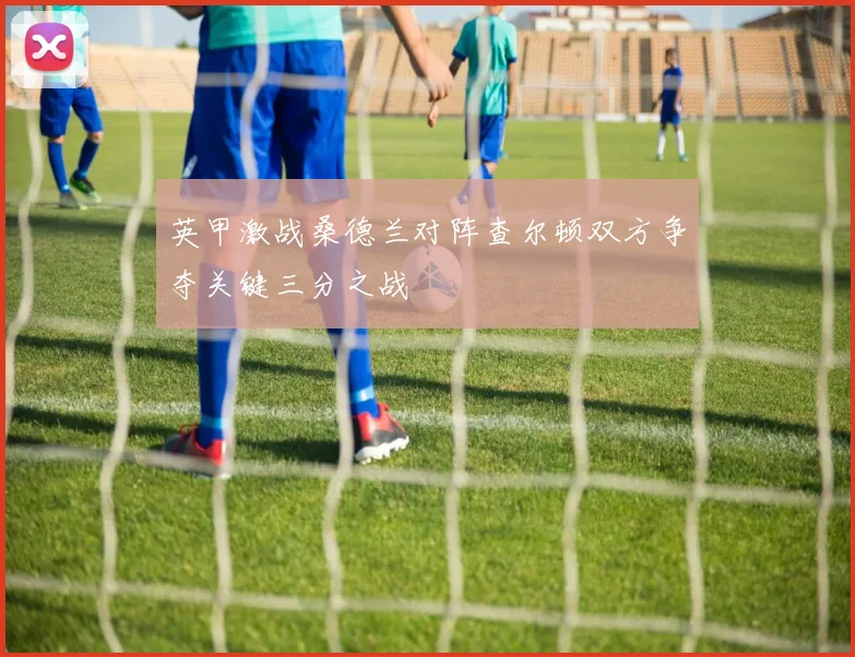 英甲激战桑德兰对阵查尔顿双方争夺关键三分之战