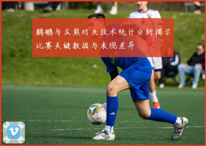 鹈鹕与灰熊对决技术统计分析揭示比赛关键数据与表现差异