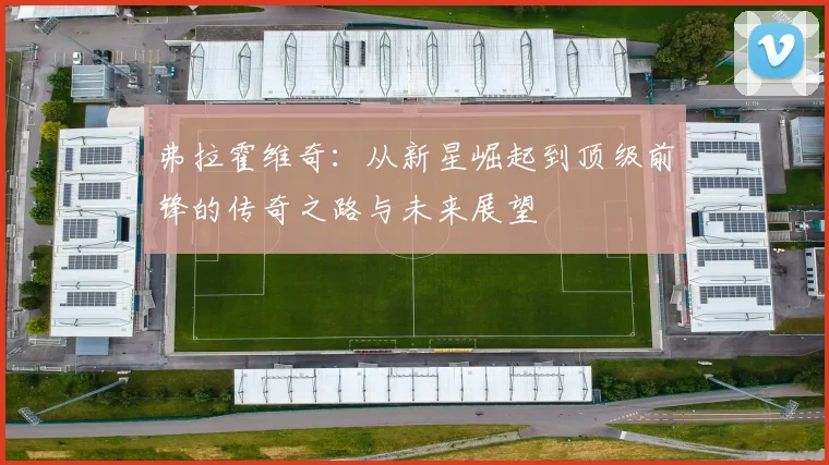 弗拉霍维奇：从新星崛起到顶级前锋的传奇之路与未来展望