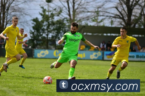 DB旗舰平台生态图